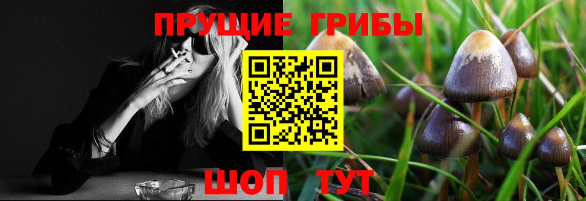 Псилоцибиновые грибы мицелий  Псилоцибиновые грибы Psilocybe  Вход с VPN  Минеральные Воды 
